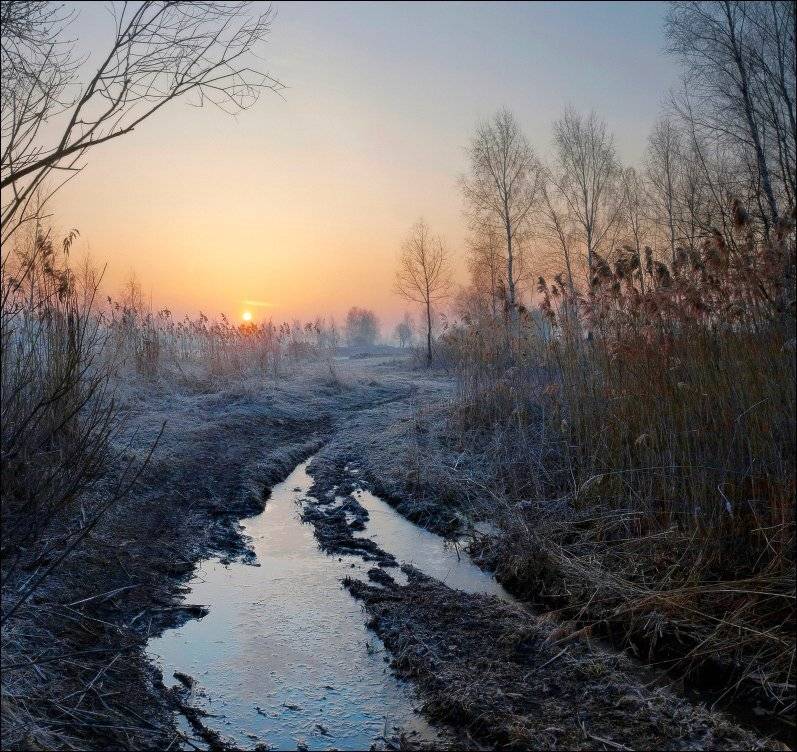 , Вадим Никифоров