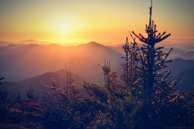 японское, море, хвоя, сихотэ, алинь, приморский, уссурийский, край, тайга, горы, конец, дня Это про море фото превью