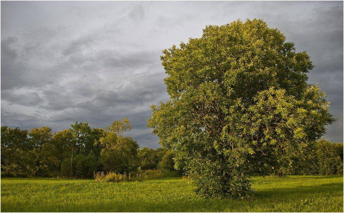 , Андрей Куликов