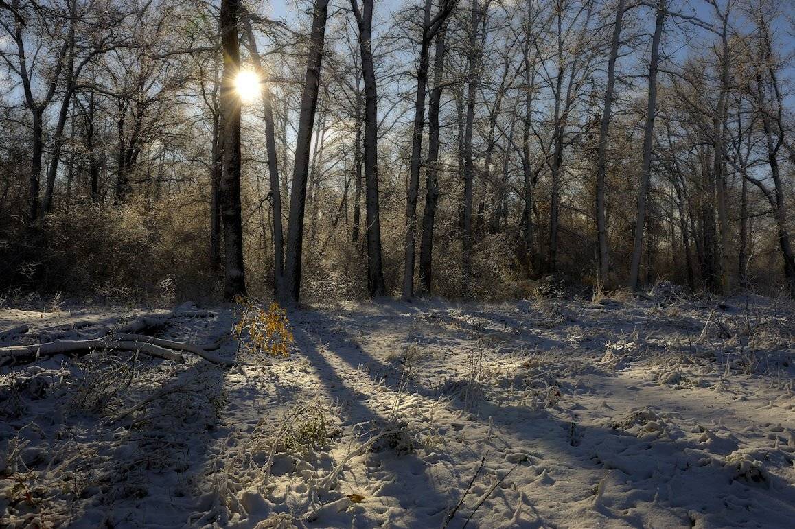 , Андрей Балабин
