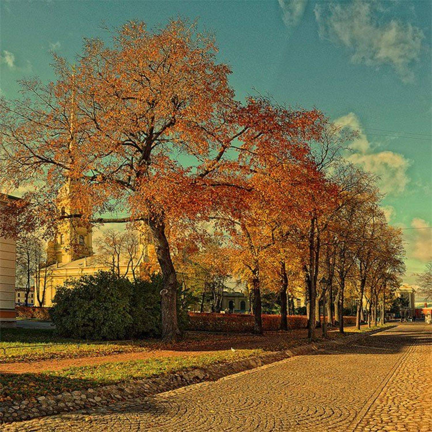 , Александр Миронов