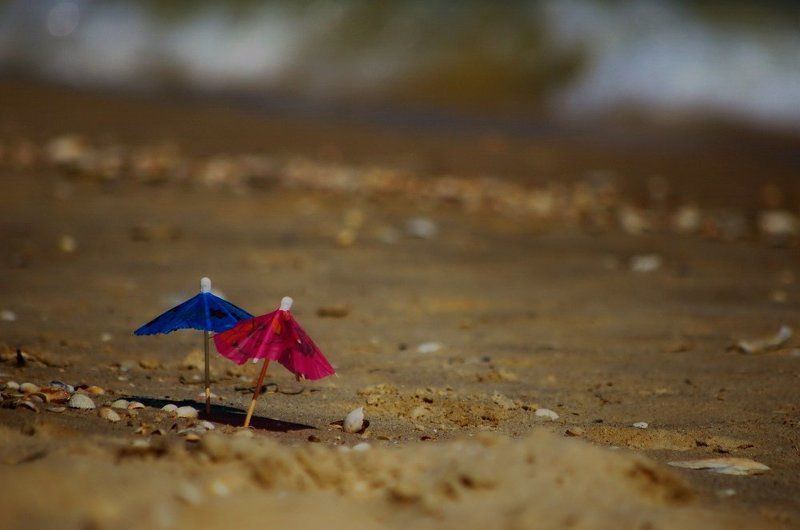 море курортный роман фото превью