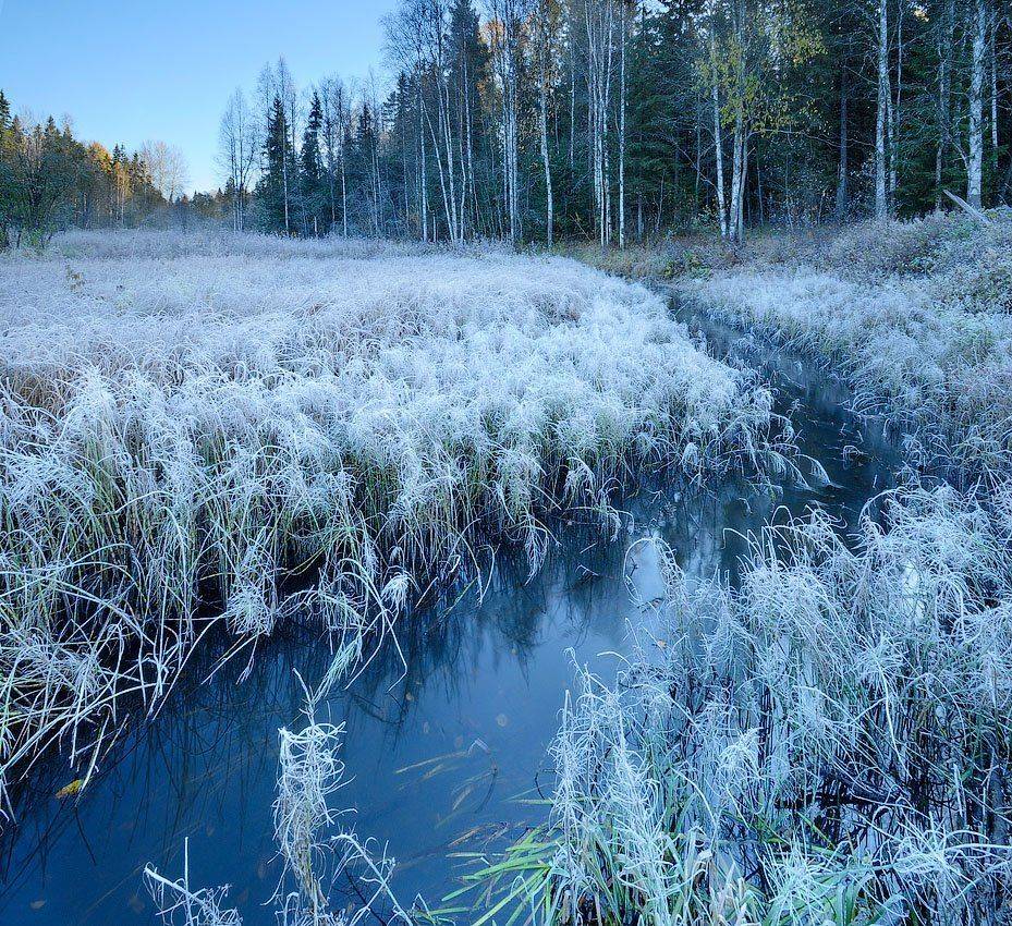 вологодчина,кема,север,ручей, Roman Goryachiy