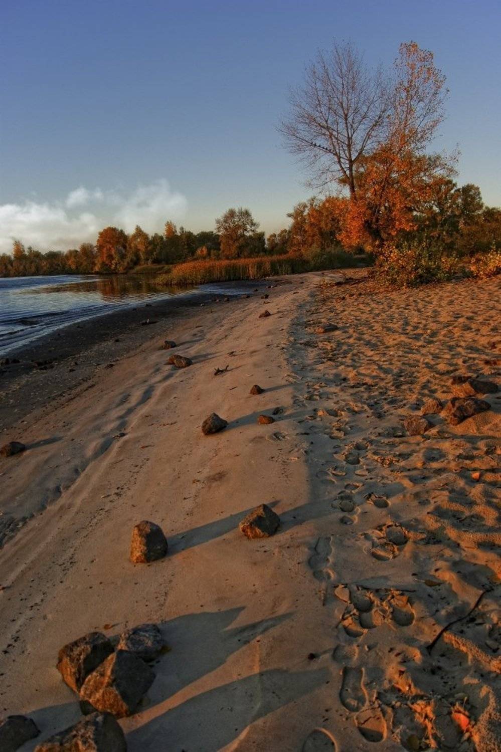 пейзаж, осень, Tina Grach