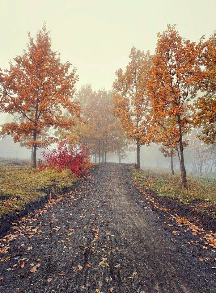 , Александр