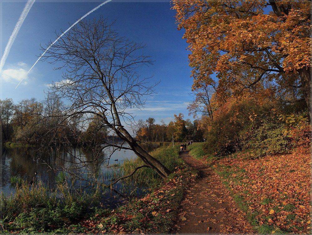 , Александр Нагибин