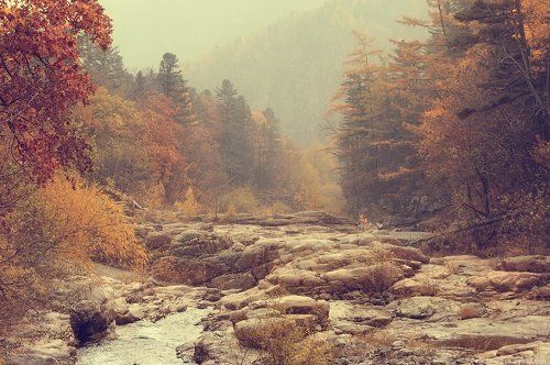 Таёжная речная