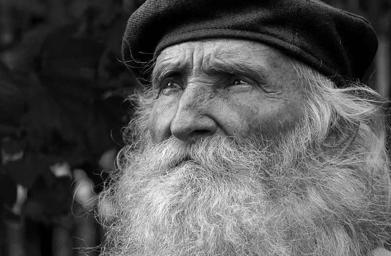 портрет, печаль, старик, взгляд И мудрость и печаль ... фото превью