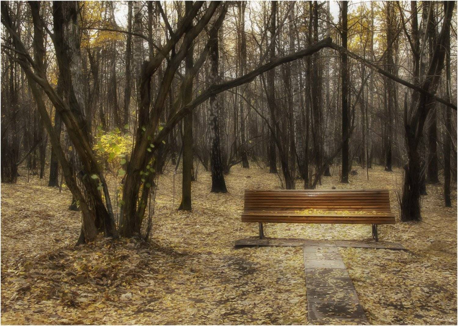 , Алексей Новиков