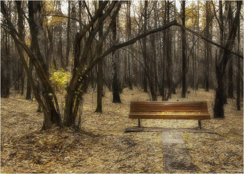 Осенние зарисовки фото превью