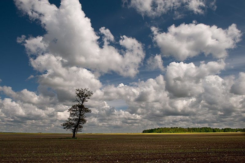 Spring mood фото превью