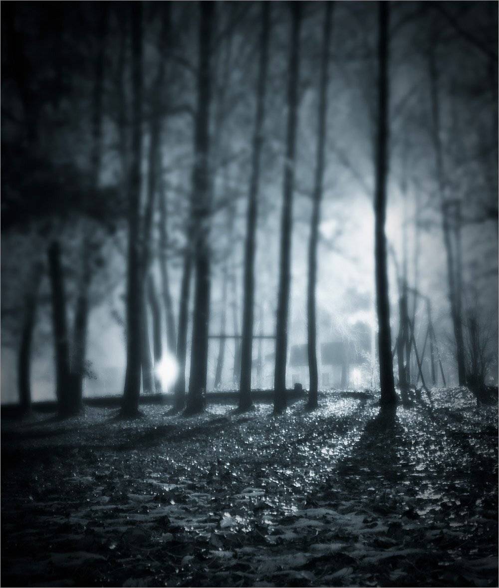 , Андрей Куликов