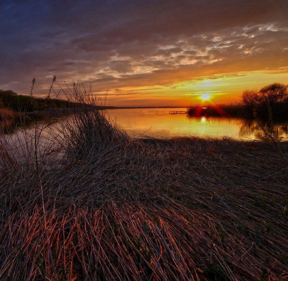 вечер, камыш, закат, весна, Петриченко Валерий