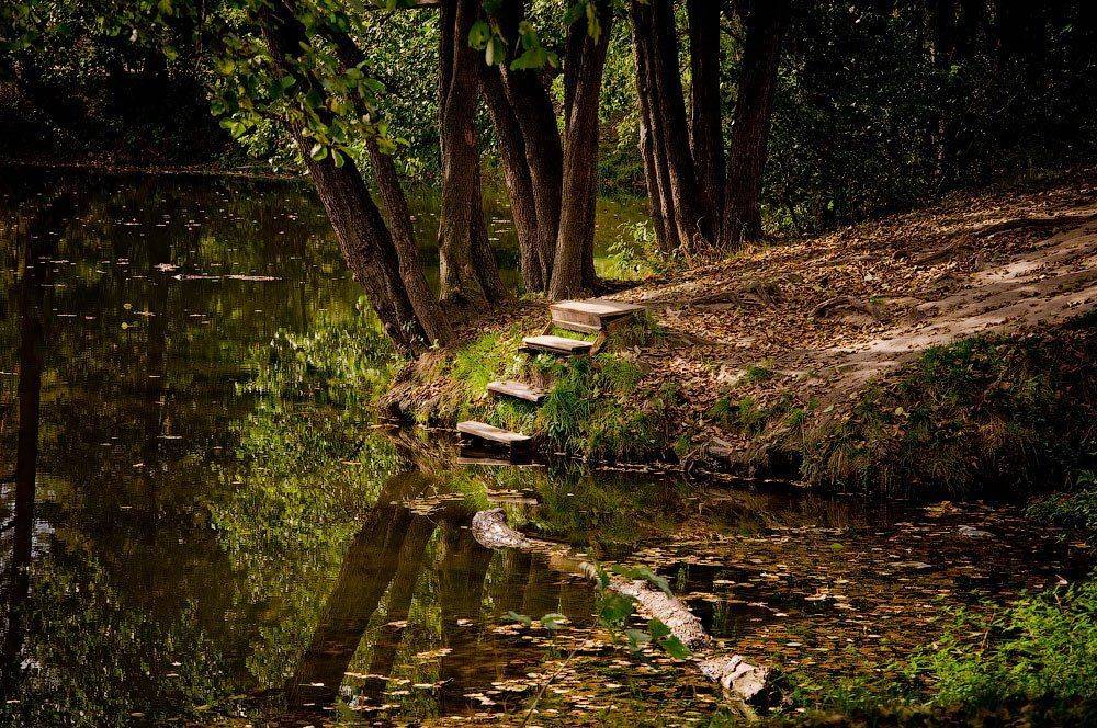 , Октай Гусейнов