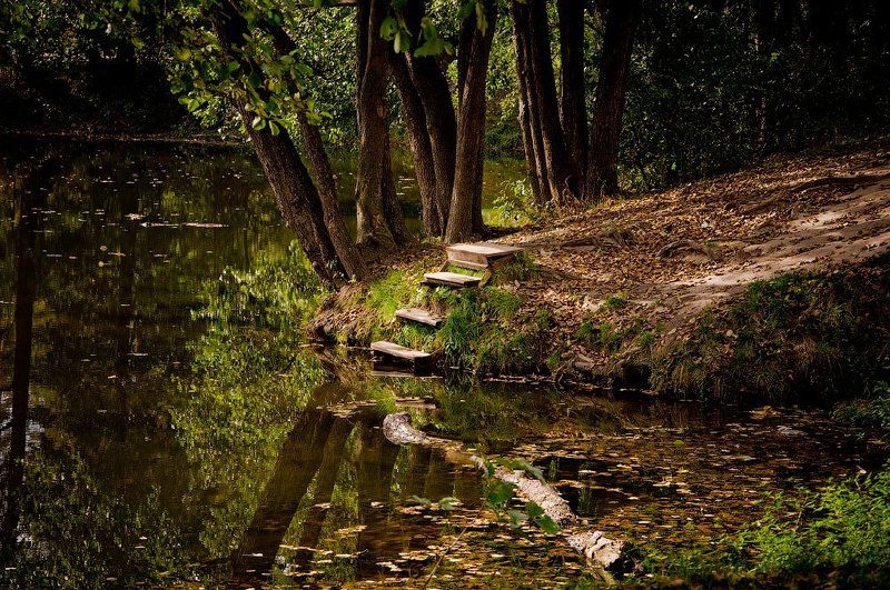 Ступеньки фото превью