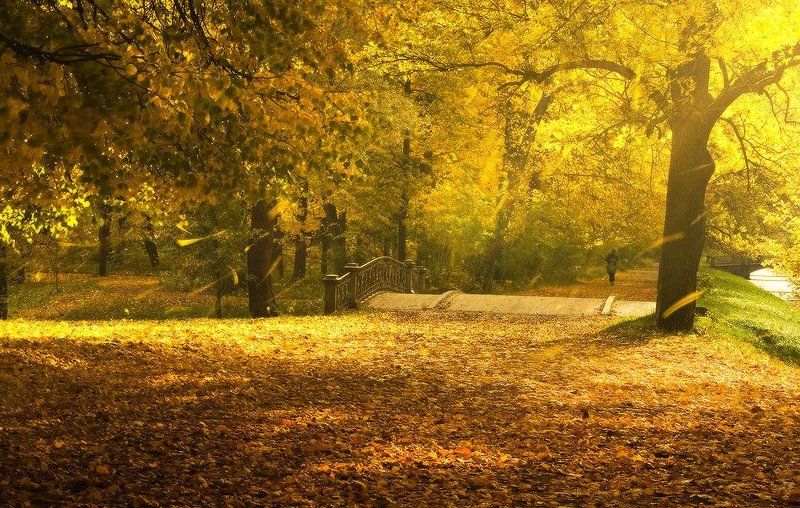 Театр осени фото превью