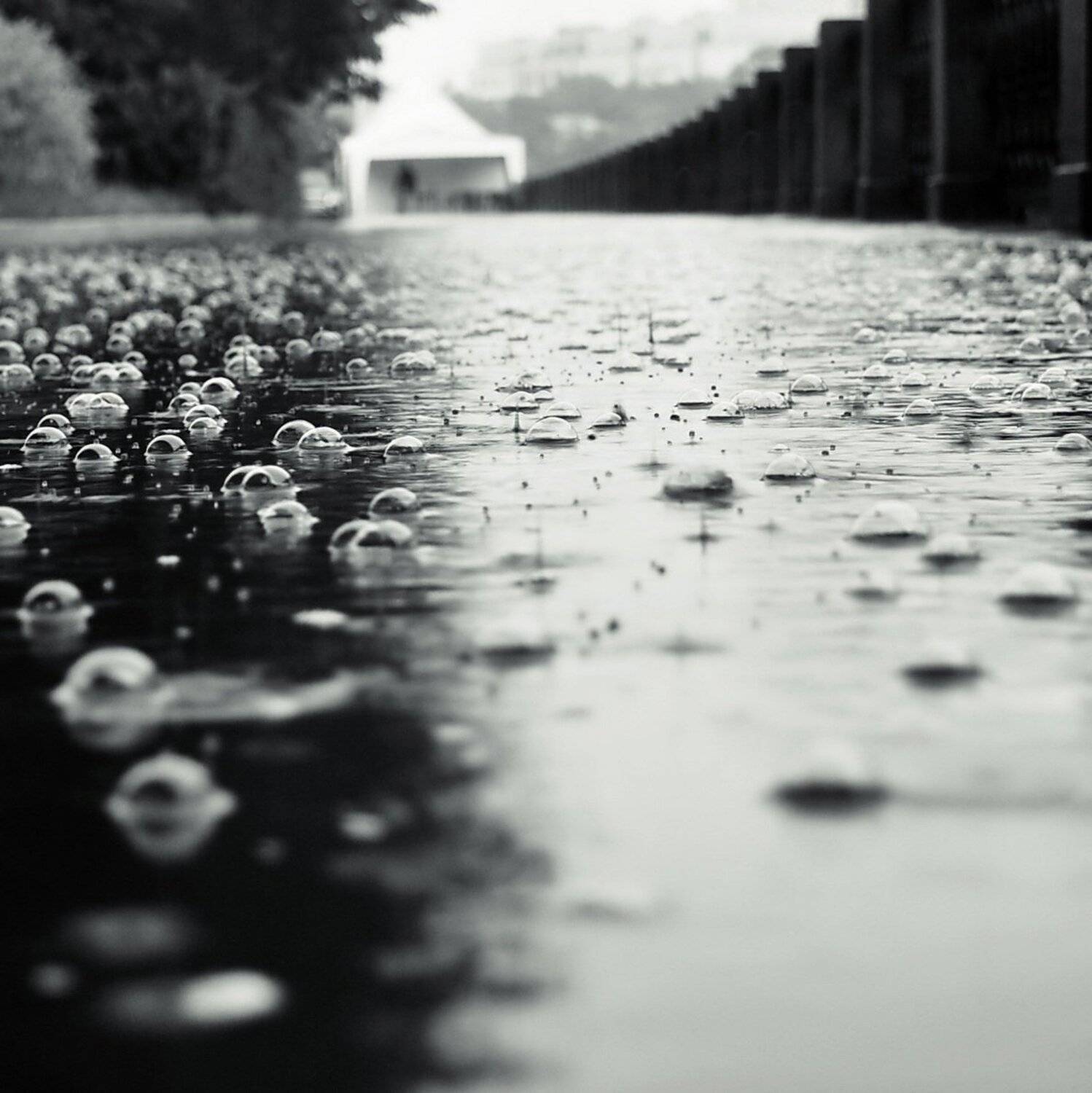 дождь, пузыри, капли, Ann