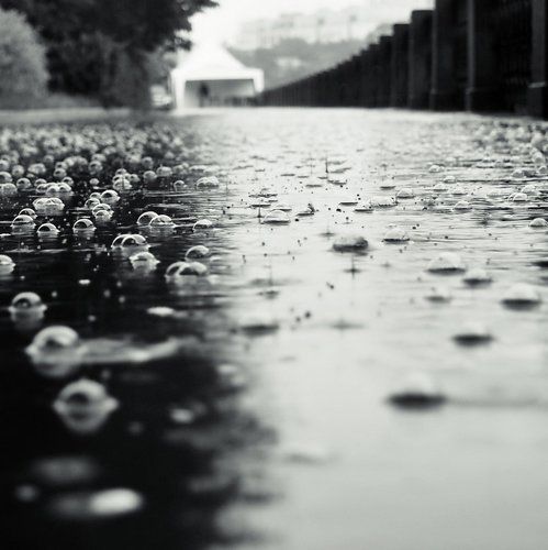 bubbles