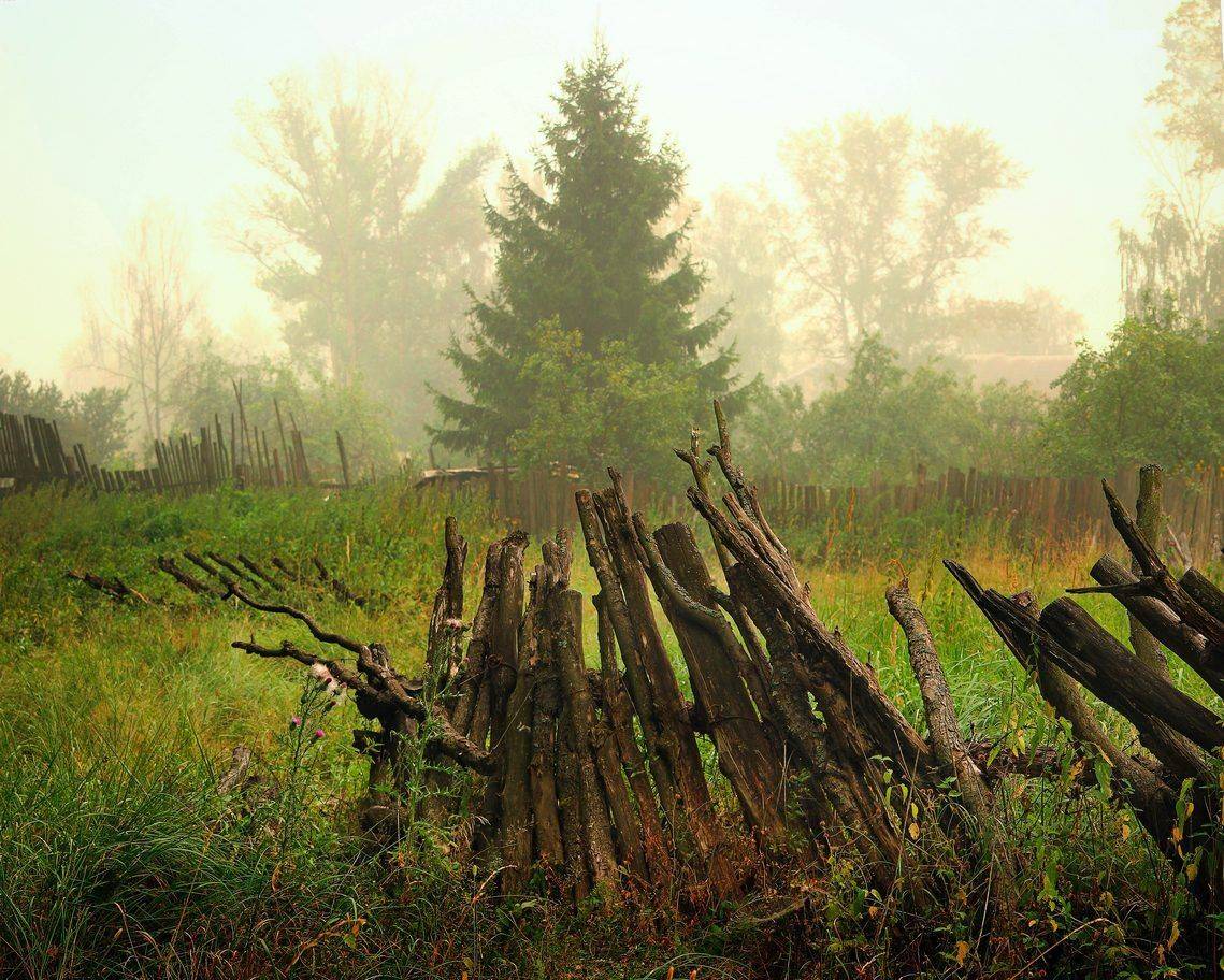 , Сергей Зимин