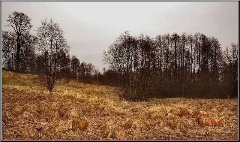 spjashchiji trolli... фото превью