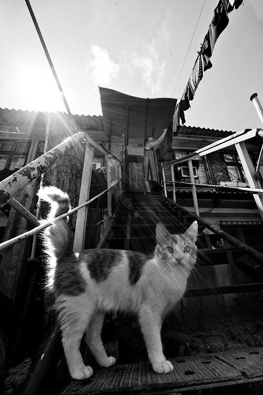 Одесская фото превью