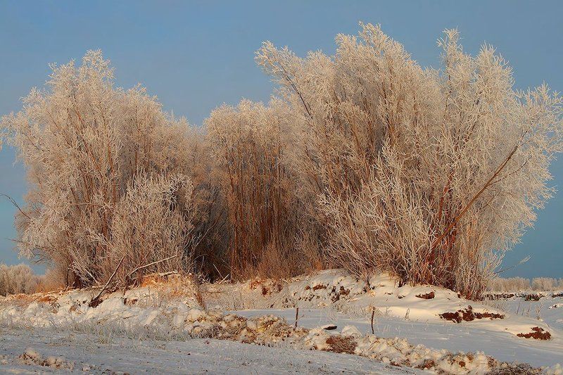 *** фото превью