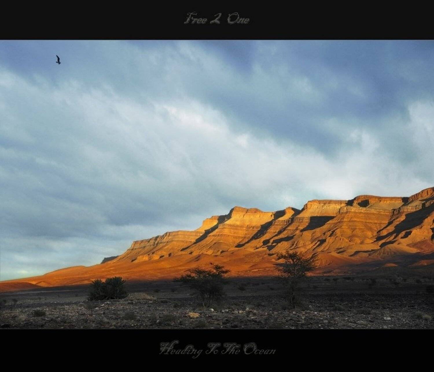 чайка, атлас, сахара, arte