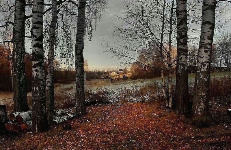 Осень у моего окна фото превью