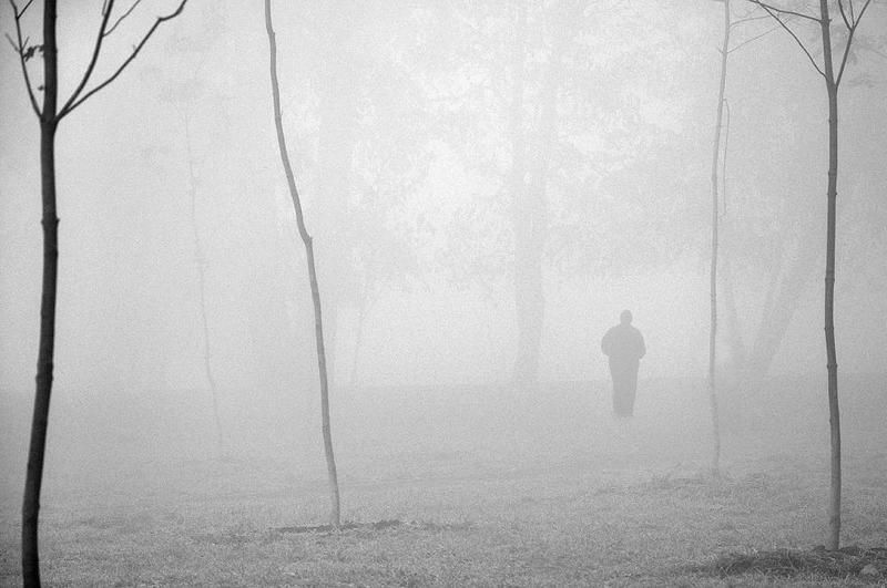 nature, early morning *** фото превью