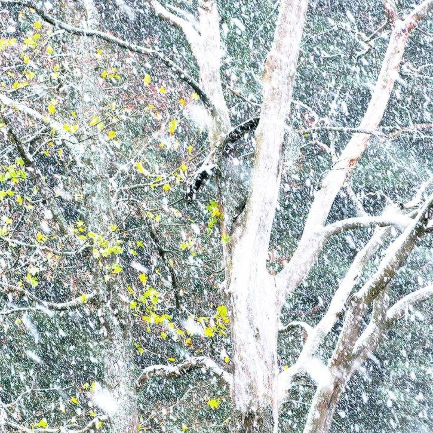 , Viktor Kalechenkov