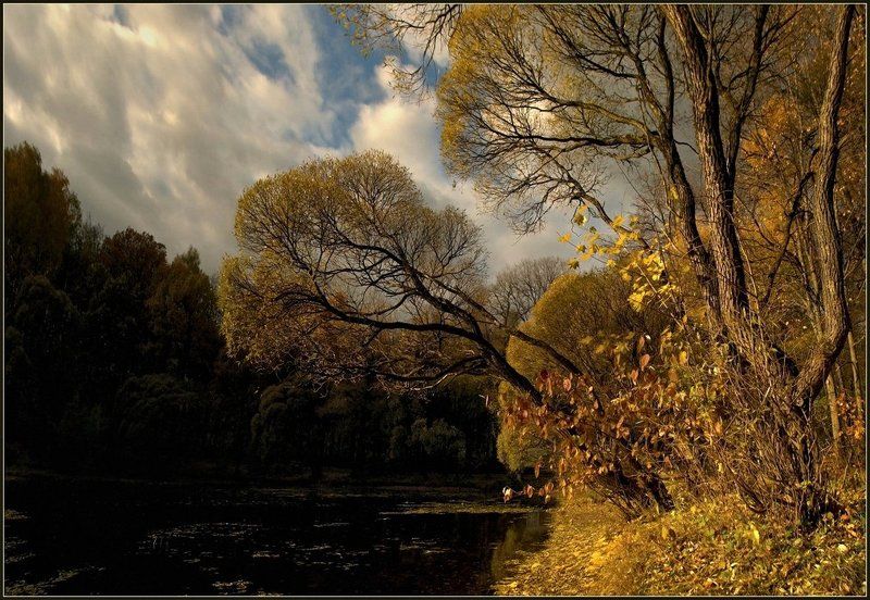 * фото превью