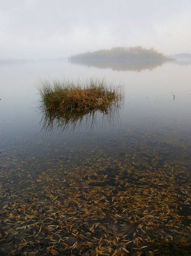 Утонуло лето