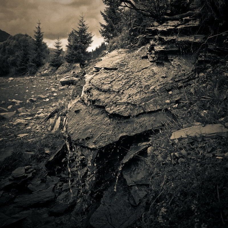 /// фото превью