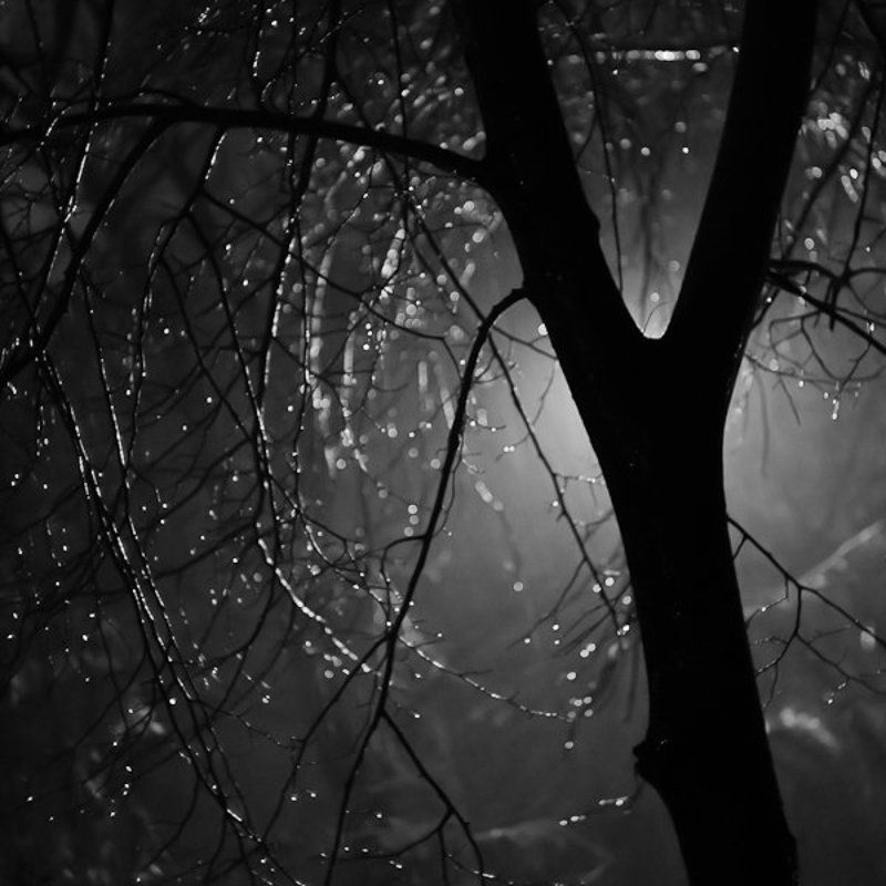 Y фото превью