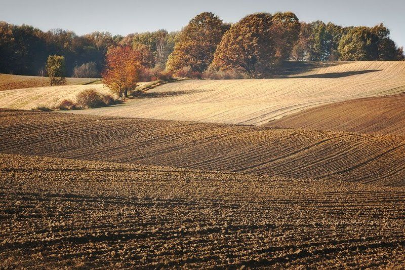 Autumn фото превью