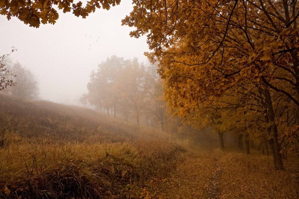 , Александр