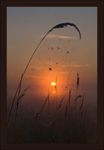 Встречая День