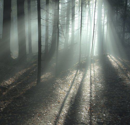 Там чудеса...