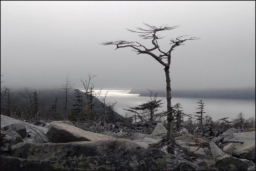 Там, за туманами...