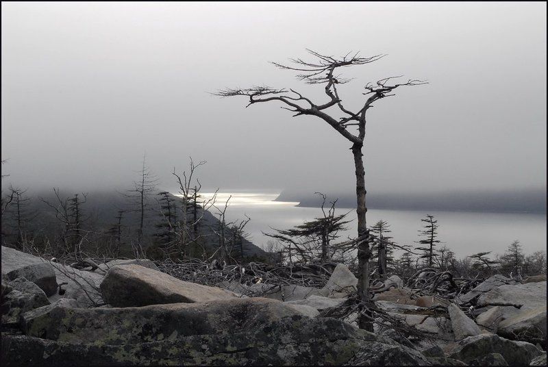 магадан, нагаевская бухта Там, за туманами... фото превью