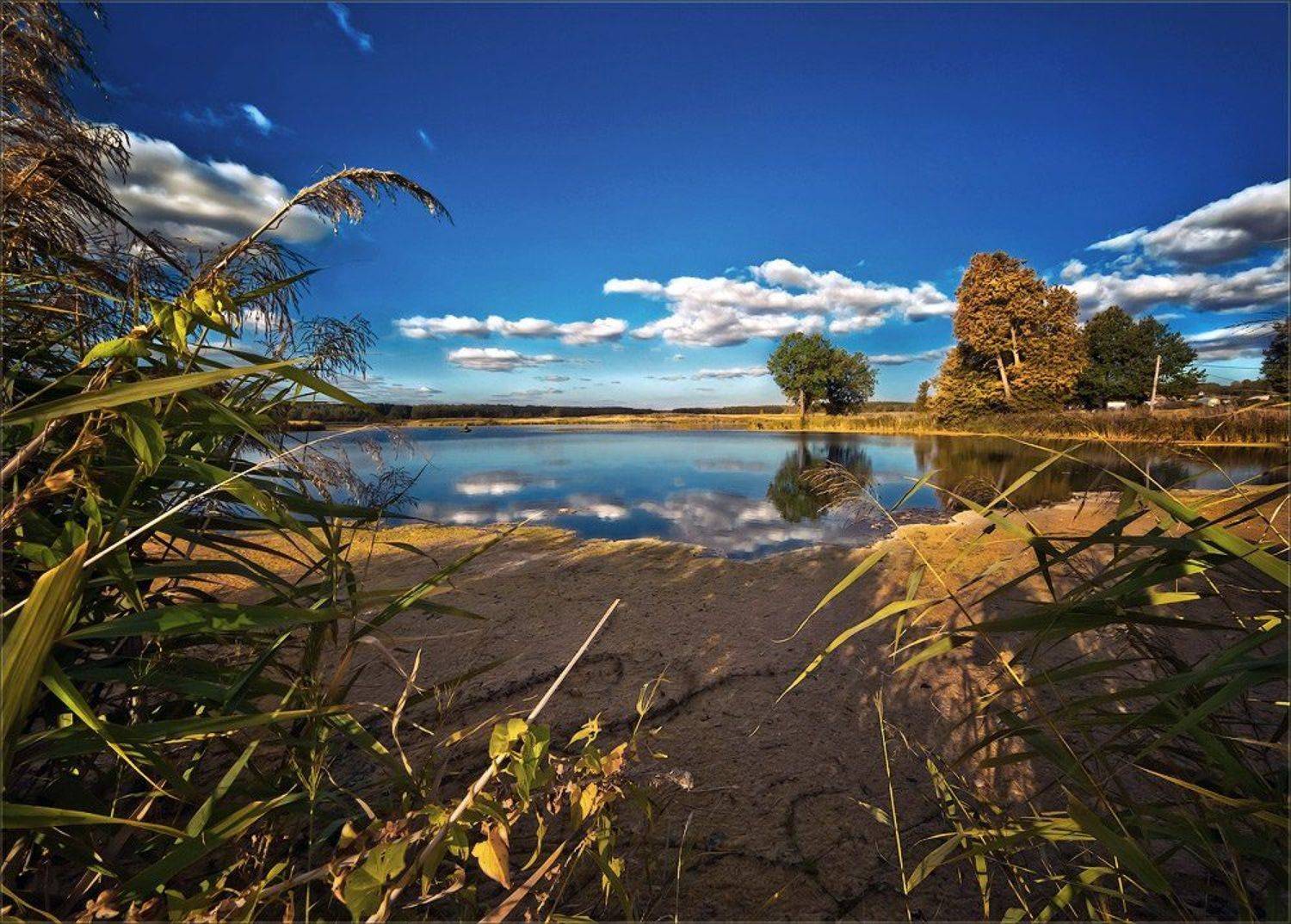 , Василий Водин