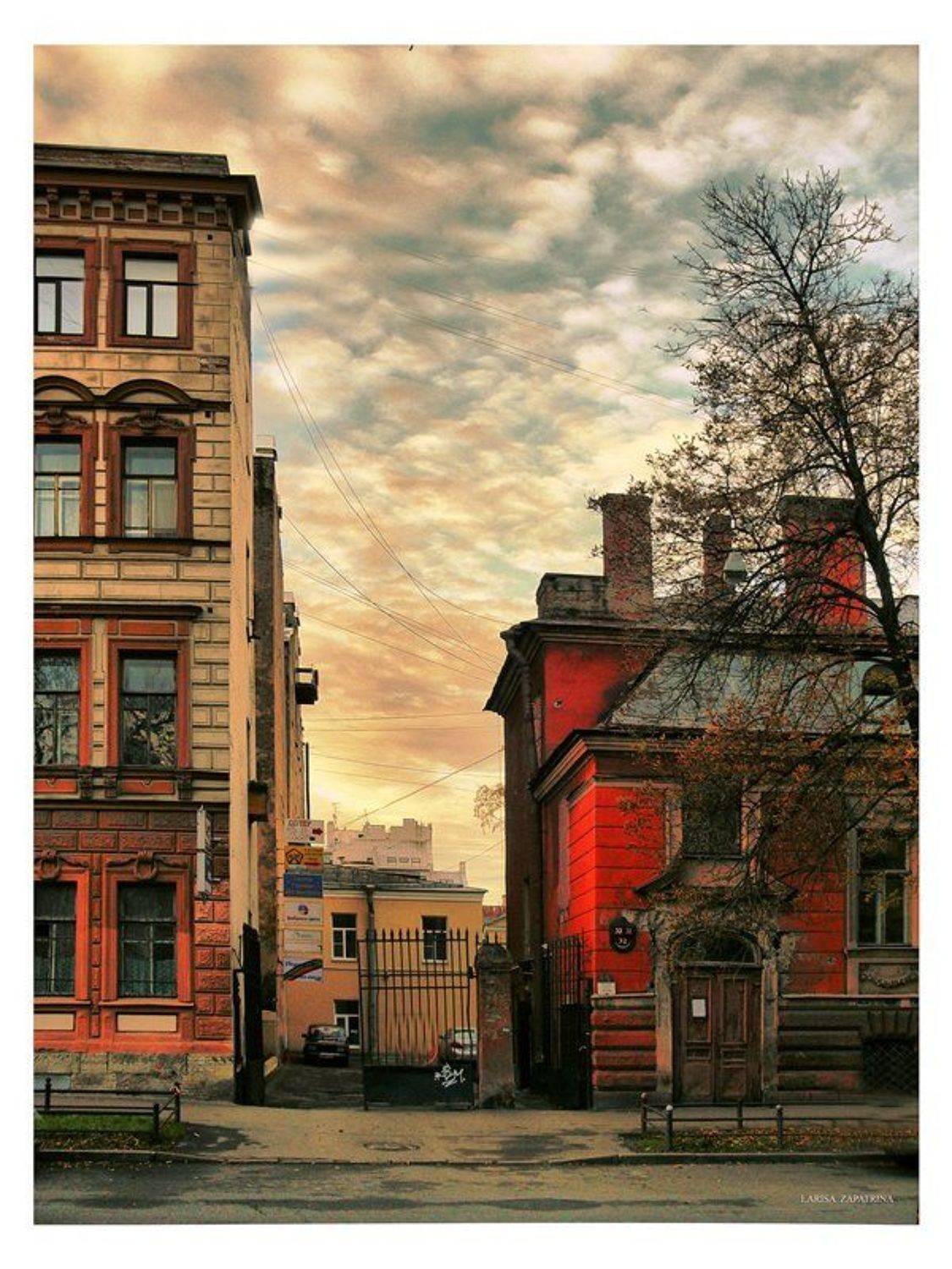 петербург, васильевский, остров, Лариса Запатрина