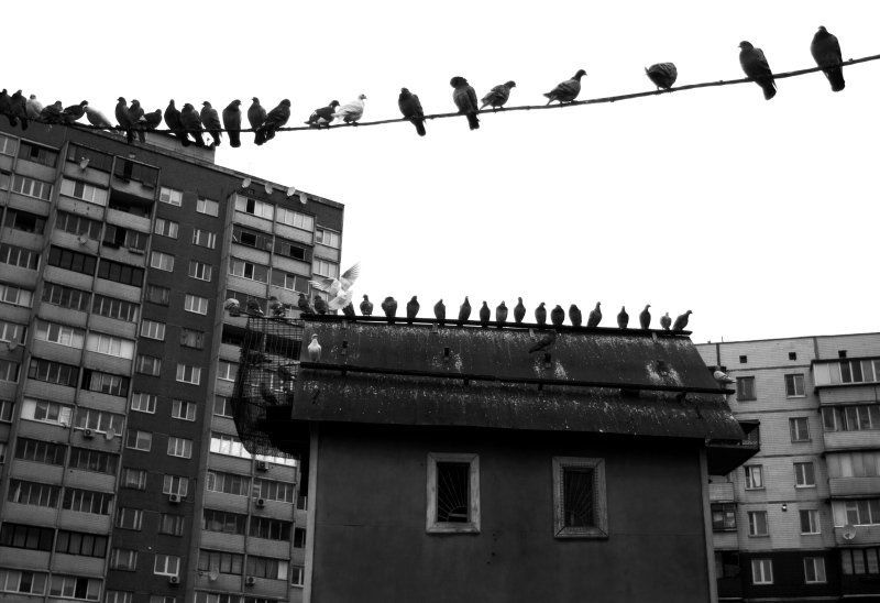 жилые кварталы фото превью