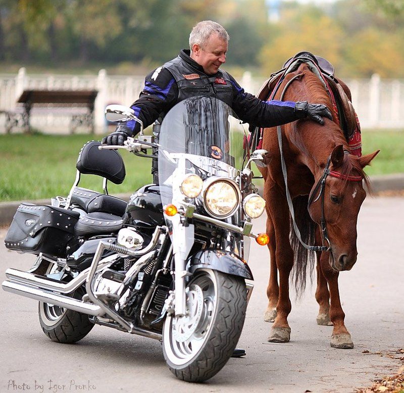 байкер, мото Верный друг фото превью
