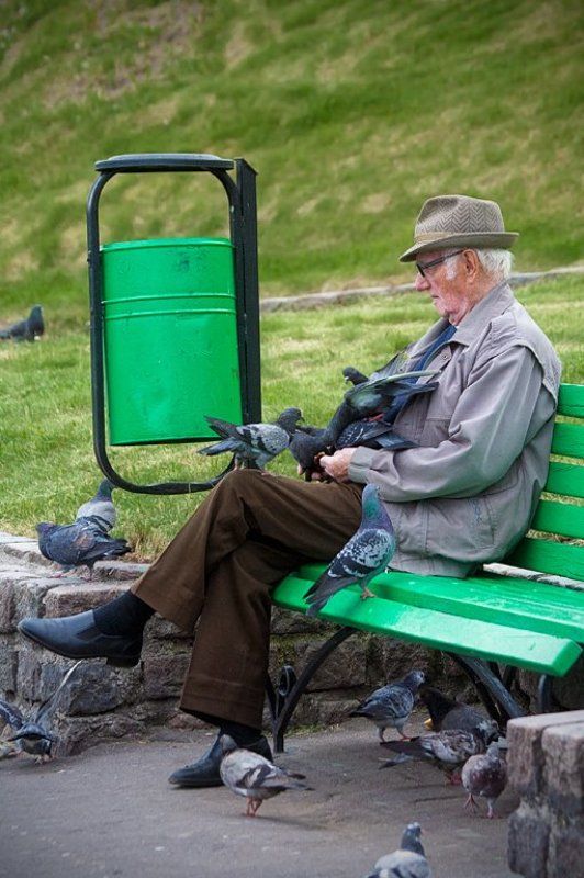 Голуби голуби фото превью