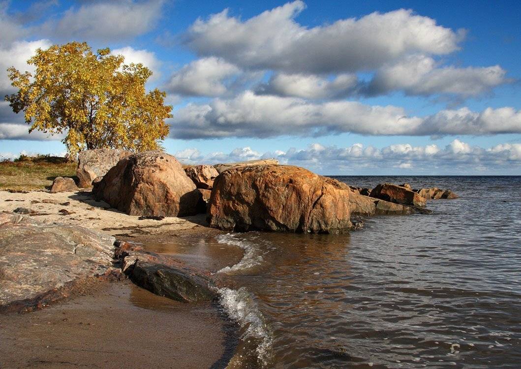 , Александр Коротков