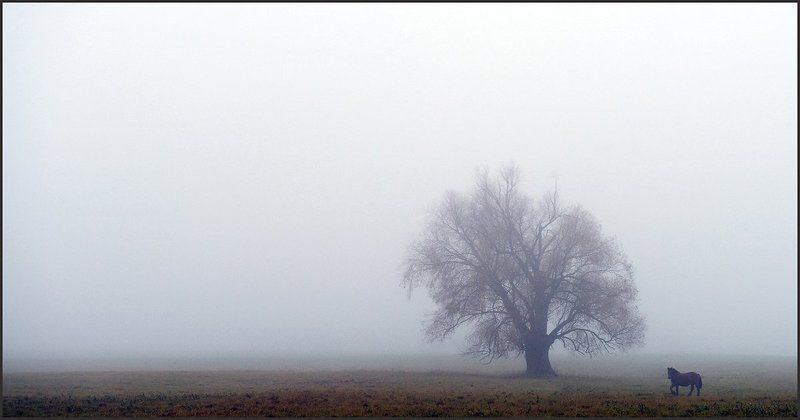 Autumn melancholy фото превью