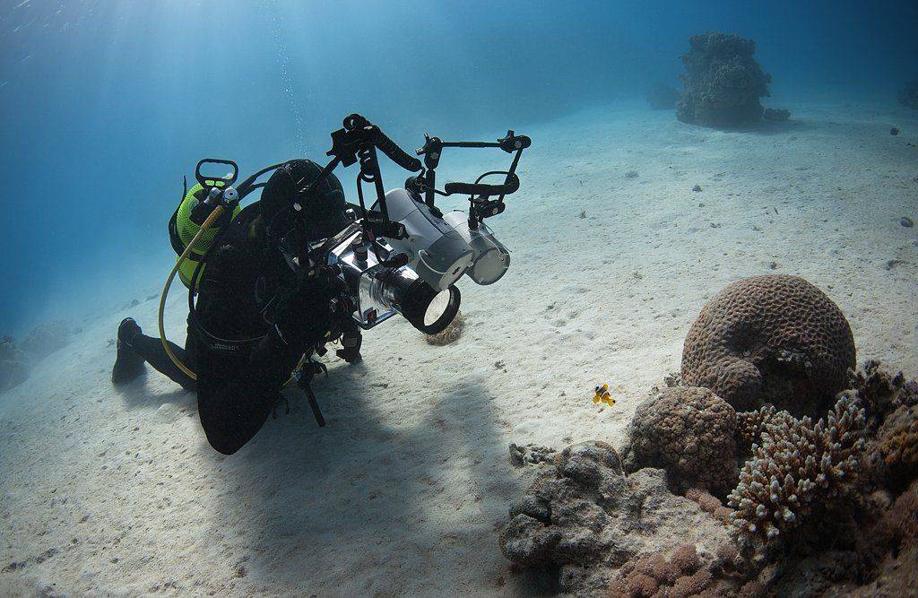 , Оксана Музыка