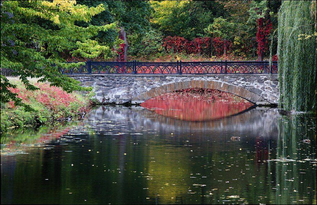 белая церковь, александрия, Лариса Гурьева