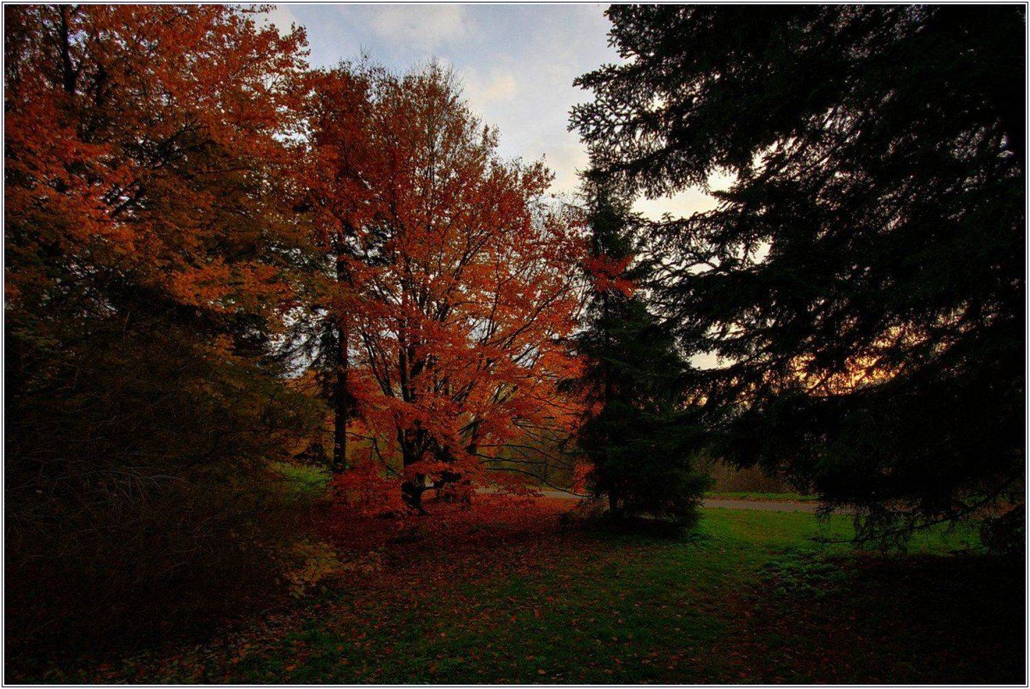 осень, Игорь Шевченко